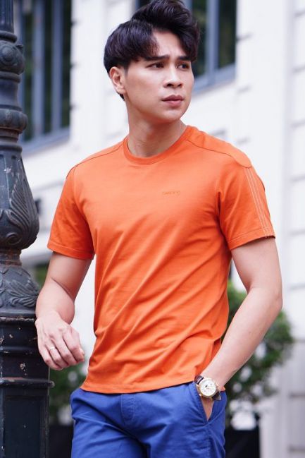 Áo thun T-Shirt Nam Cardino Việt Nam ATS018