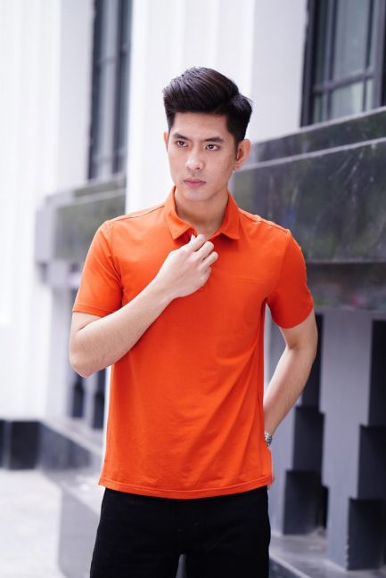 Áo Polo-Shirt Nam Cao cấp Cardino Việt Nam APT027