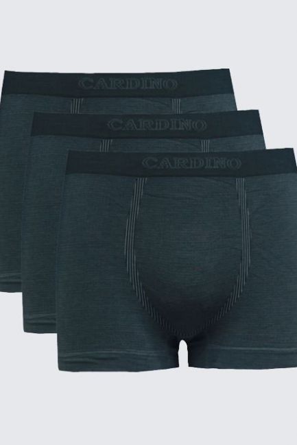 Quần lót nam CD05