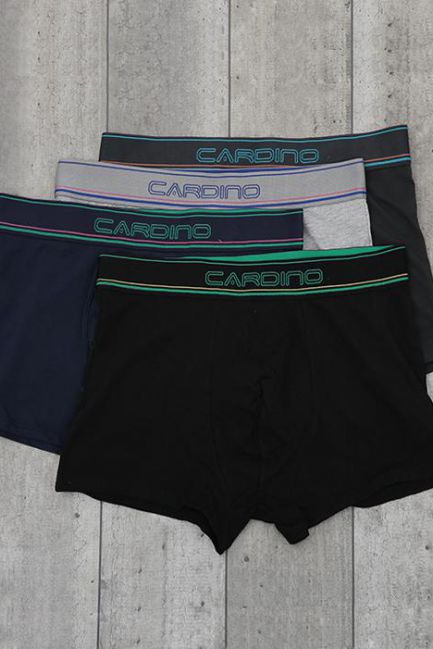 Quần lót nam CN29