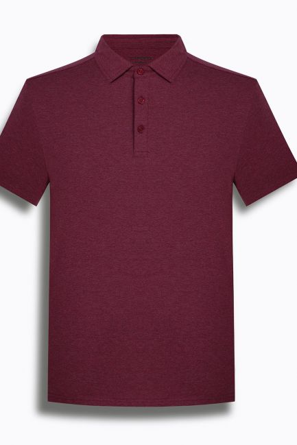 Áo polo nam cardino Việt Nam H119APLT019