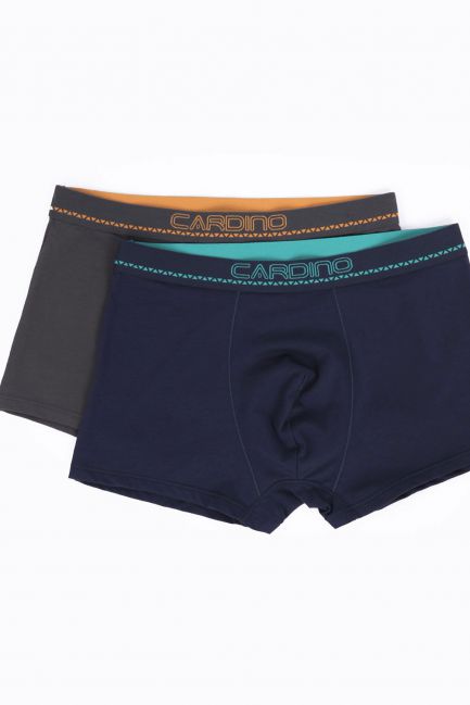 Quần sịp nam Cardino Việt Nam CMB02