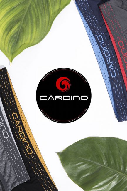 Quần sịp Nam Cardino Việt Nam CMT01