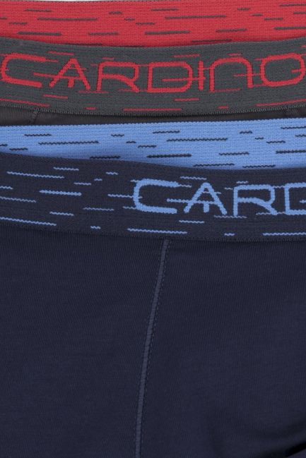 Quần sịp đùi nam cardino Việt Nam CMB01