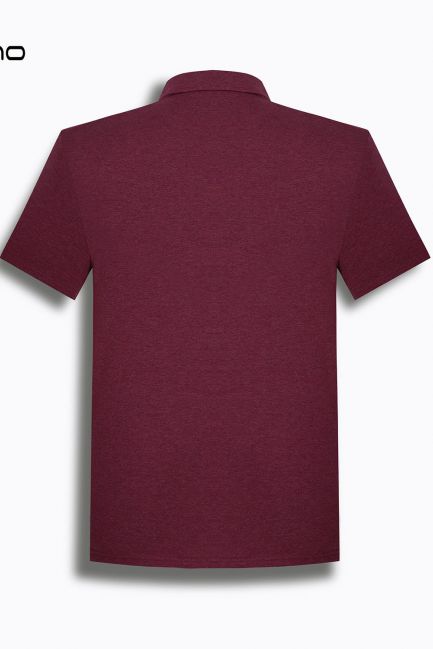Áo polo nam cardino Việt Nam H119APLT019