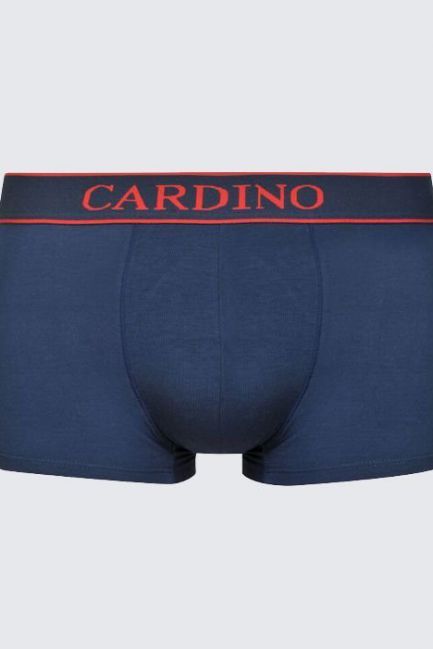 Quần lót nam CN17