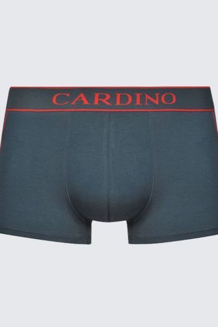 Quần lót nam CN17