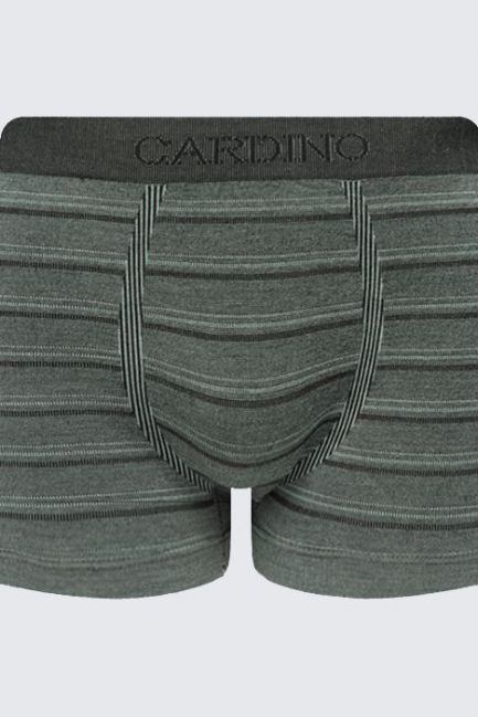 Quần lót nam CD03