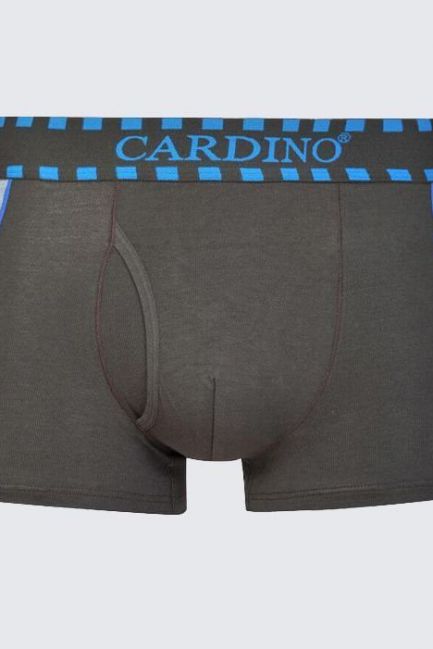 Quần lót nam CN20