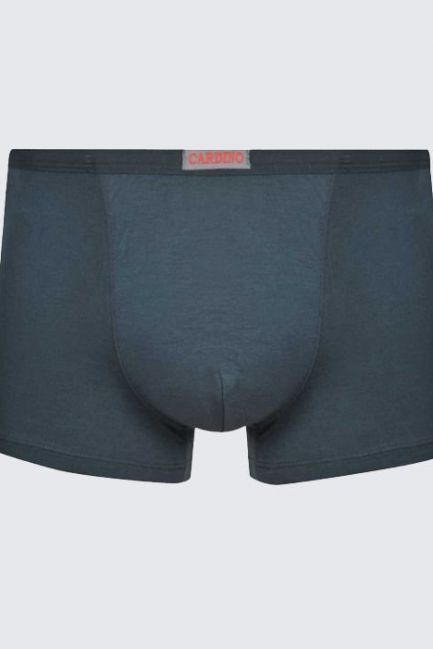 Quần lót nam CN21