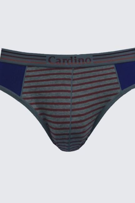 Quần lót nam CN22