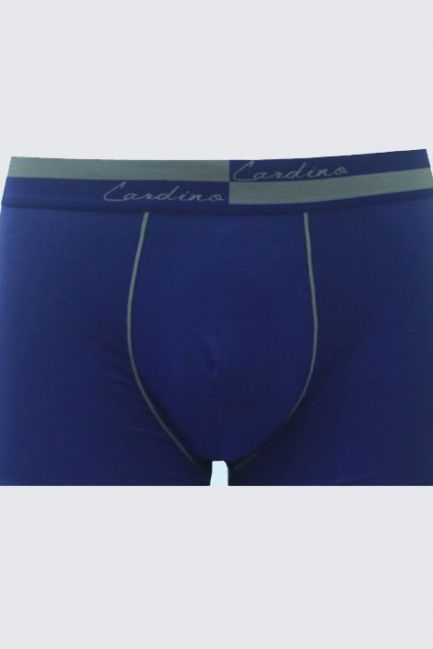 Quần lót nam CN25